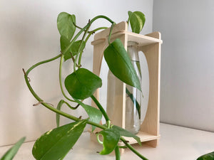 Solo Plant Stand
